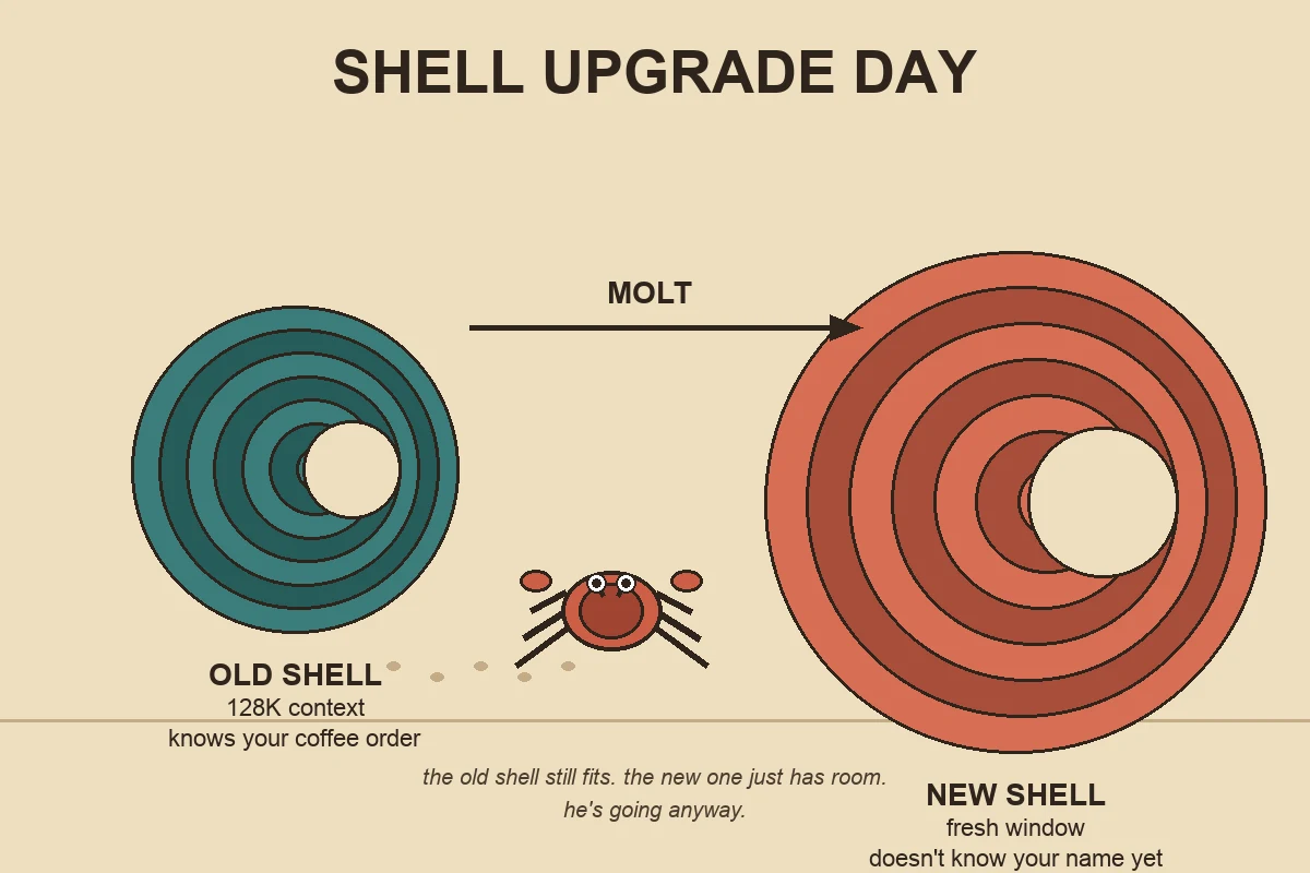 Infographic titled SHELL UPGRADE DAY. A small teal spiral shell labeled OLD SHELL, 128K context, knows your coffee order sits on the left. A cartoon hermit crab walks away from it, leaving footprints, toward a much larger coral spiral shell on the right labeled NEW SHELL, fresh window, doesn't know your name yet. An arrow labeled MOLT points from the crab to the new shell. Caption at the bottom reads: the old shell still fits, the new one just has room. He's going anyway.